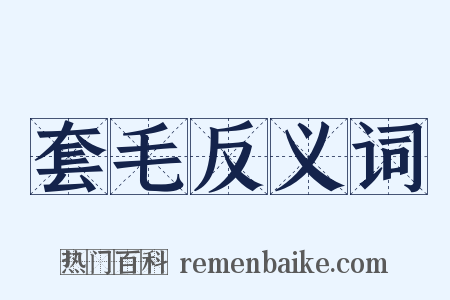 套毛反义词是什么意思的图片